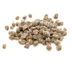 CAPPERI GRANDI AL SALE 1 KG "MICCIO"
