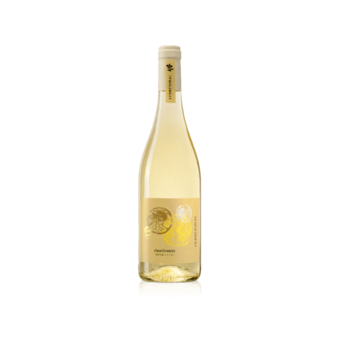 CHARDONNAY IGT TREVENEZIE «TERRE DI RAI»