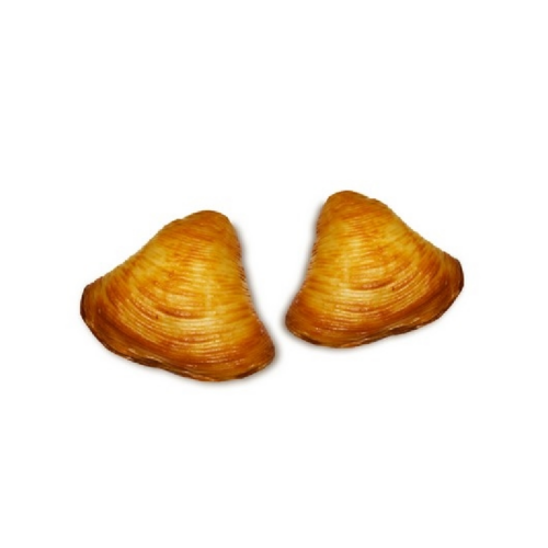 SFOGLIATELLA RICCE MIGNON PACGEL gr30x5kg (prz/ct)*