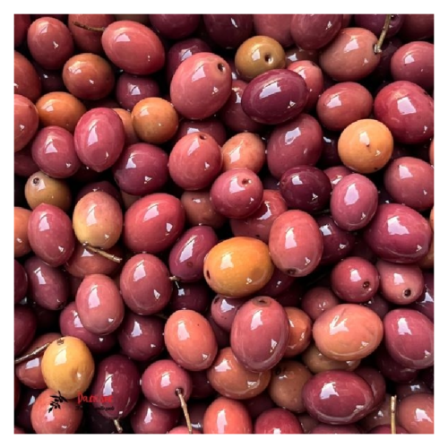 OLIVE NERE GAETA EXTRA 900 GR