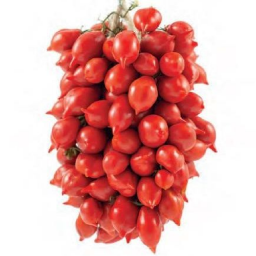 POMODORO PIENNOLO ROSSO 1KG