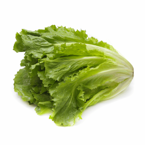 SCAROLA LISCIA AL PEZZO