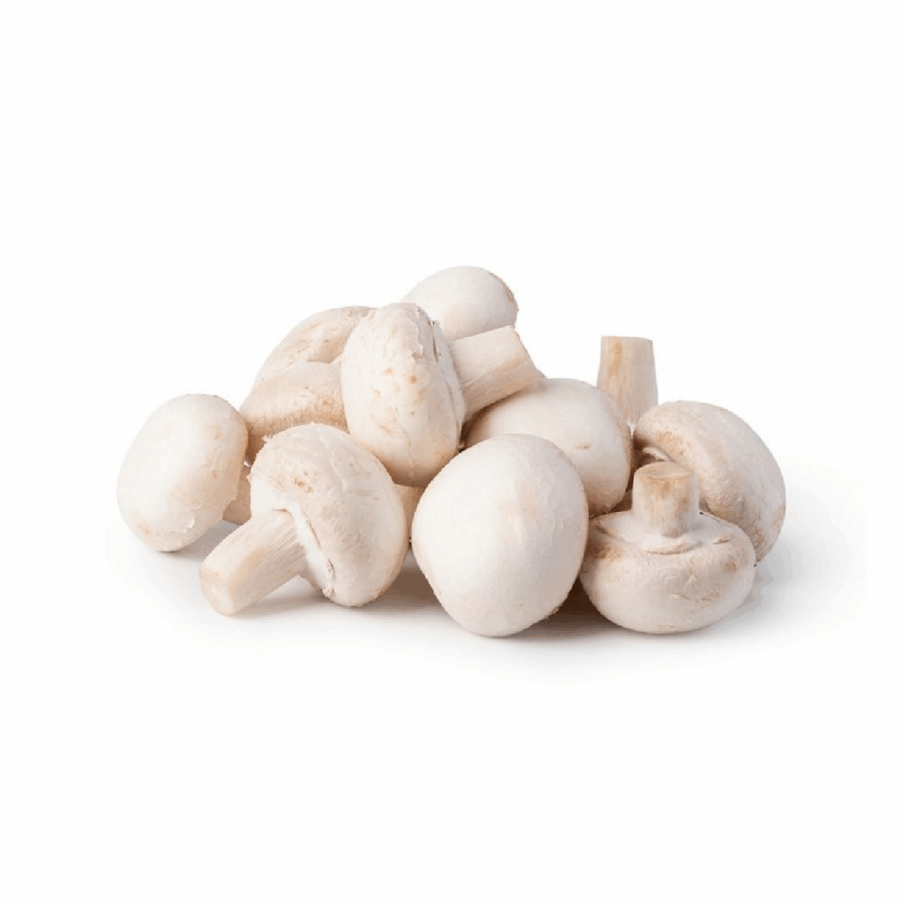 CHAMPIGNON A CASSA "ZANFARDINO"