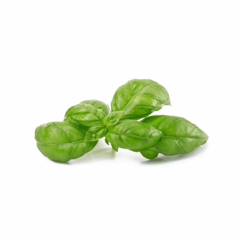 BASILICO 1 kg