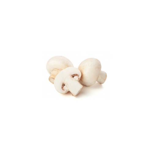 CHAMPIGNON FRESCHI 500GR
