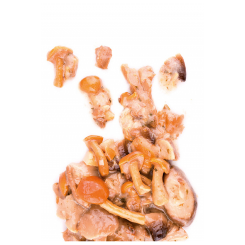 7 VARIETÀ MISTO FUNGHI TRIFOLATI 800gr «RISTORIS»