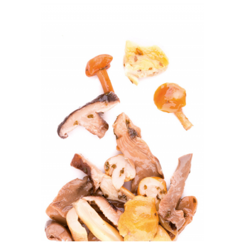 FUNGHI PORCINI TRIFOLATI  SPECIALITÀ PIZZA  780 gr «RISTORIS»