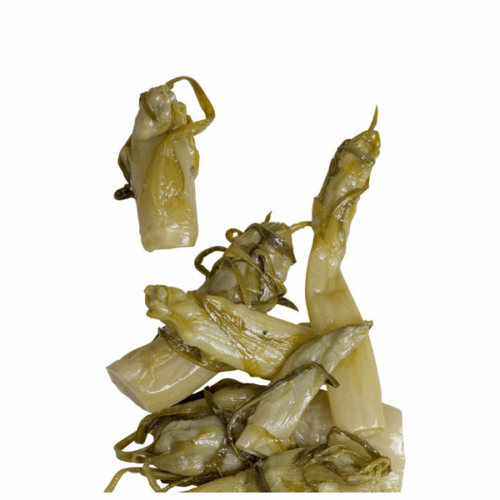 PUNTARELLE DI CICORIA IN LATTA 750gr «RISTORIS»