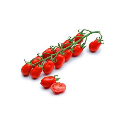POMOD.DATTER.ROSSO VASCHETTA X500GR