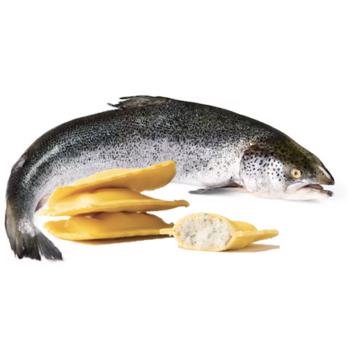 QUADROTTO AL SALMONE CAT. 2,5 KG «DEL PRETE»      *