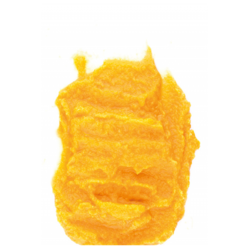 CREMA DI ZUCCA LATTA 400GR 12X1 «RISTORIS»