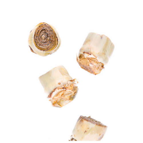 CUORI DI CARCIOFO 2.4KG «RISTORIS»