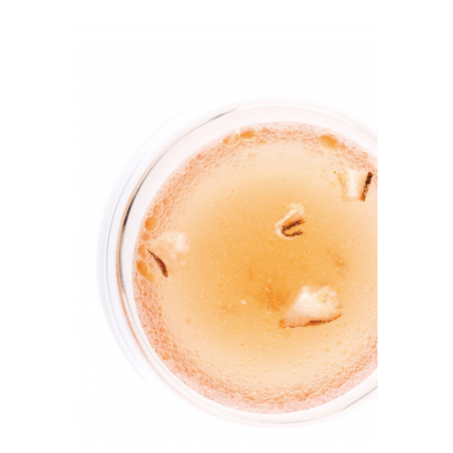 INSAPORITORE GRANULARE PORCINI 500GR «RISTORIS»
