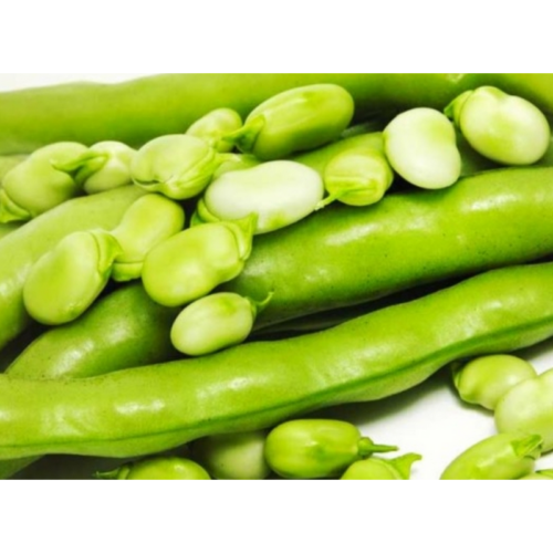 FAVA FRESCA 500gr