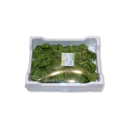 BASILICO BOX POLISTIROLO