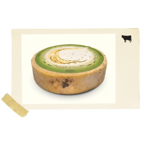 FORMAGGIO UBRIACO PROSECCO 12X180gr «ROGNONI»